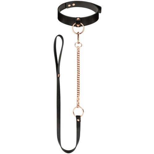 Rosy Gold Collar with Leash - Black Cene