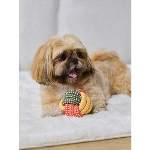 Sinsay Igračke za pse 2 pakiranja Cijene