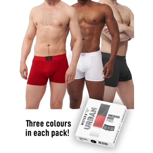 Mister B Urban Vancouver Boxer 3 Pack L