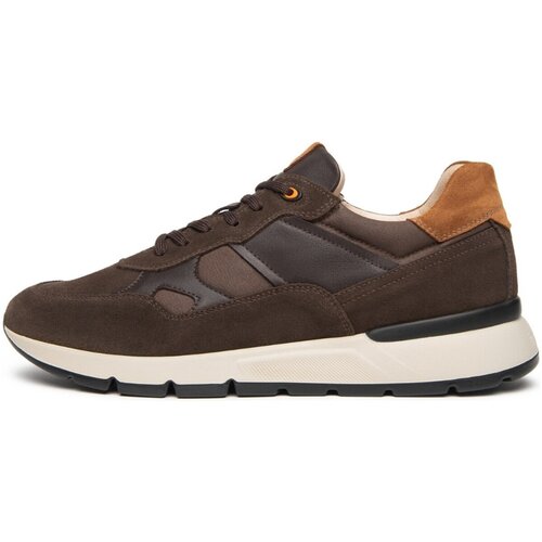 Nero Giardini Modne superge Arold Colo T.Wax Gots Savana Brown Velour Taba Kostanjeva Cene
