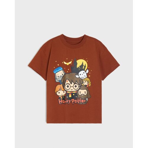 Sinsay Pamučna majica s printom Harry Potter Cijene