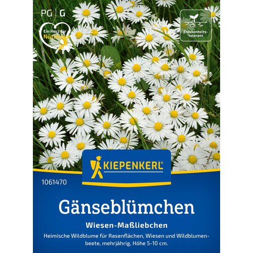 KIEPENKERL Navadna marjetica - 1 pkt. Cene