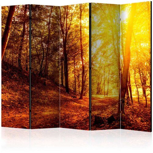  Paravan u 5 dijelova - Autumn Walk II [Room Dividers] 225x172 Slike