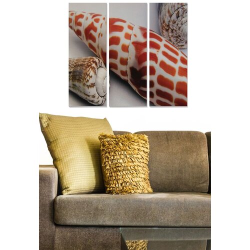 Wallity Set slika MDFDSCF7978, 3 dijela Cene