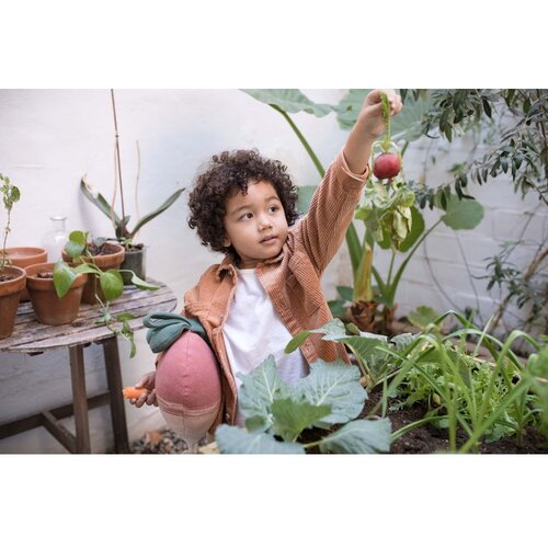 Lorena Canals Blazina - Ramona the Radish Slike