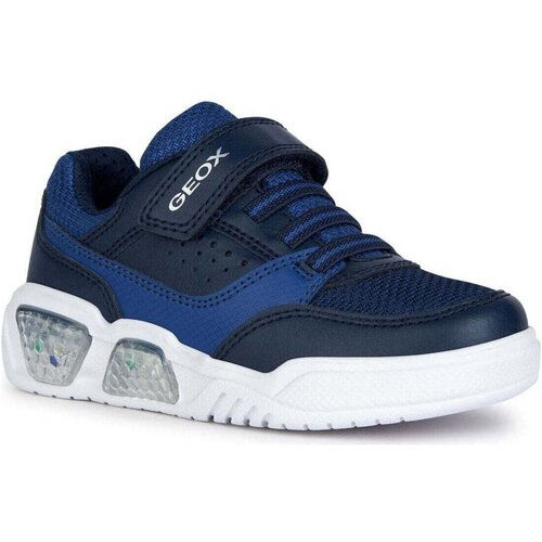 Geox - Plava Slike