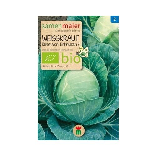 Samen Maier Bio belo zelje "Slava iz Enkhuizna" Cene