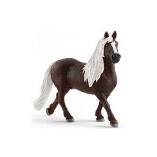 Olimp Sport Pastuv black forest Cene