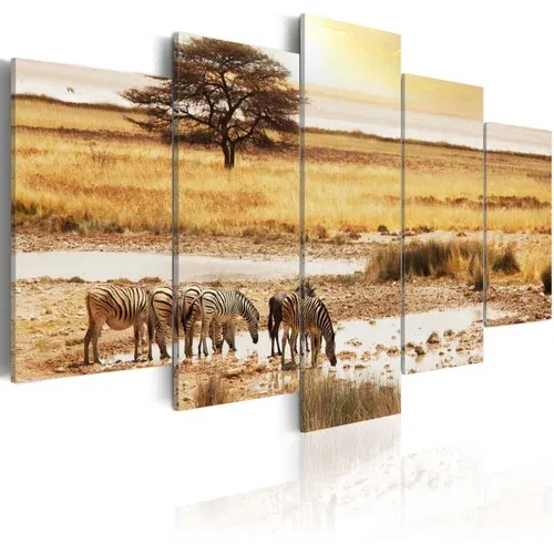  Slika - Zebras on a savannah 100x50