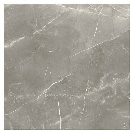 Halc&amp;oacute;n Talne plo&amp;scaron;čice Rodum Gris Mate Satinado (Do x &amp;Scaron;: 60 x 60 cm) Slike