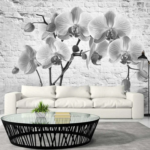  tapeta - Orchid in Shades of Gray 250x175