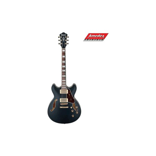  GITARA ELEKTRIČNA IBANEZ AS73G-BKF Cijene