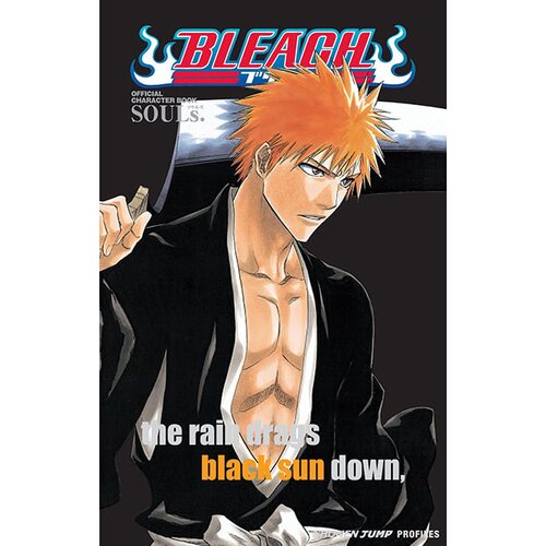 VIZ Media Tite Kubo - Bleach Official Character Book Volume 1: Souls Cene