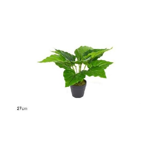  CVIJEĆE U SAKSIJI 27CM Slike
