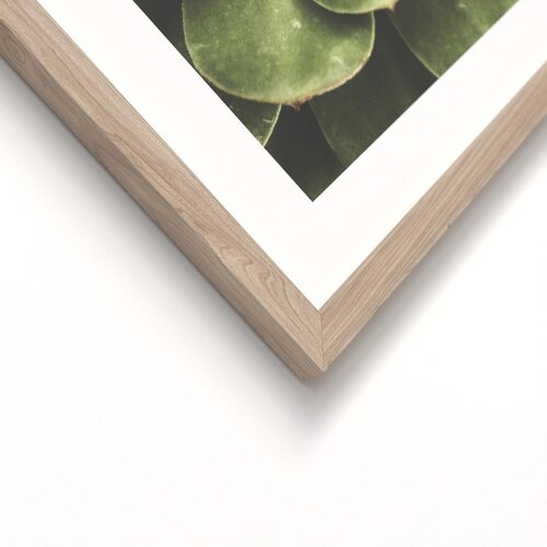 Styler Tiskane slike v kompletu 2 ks z okvirjem 30x40 cm Beauty Green &amp;ndash; Slike