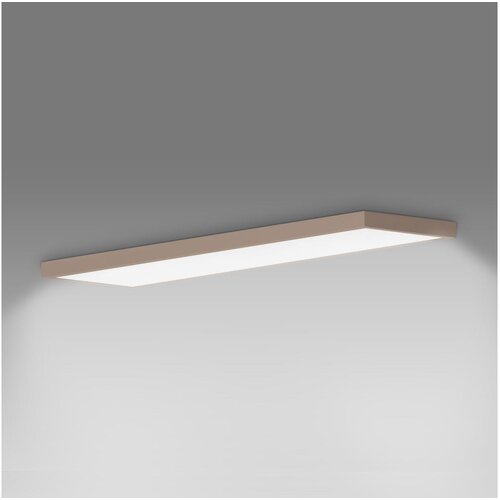  Brilagi-LED kupatilsko plafonsko svetlo FRAME LED/50W/230V 120x30 cm IP44 bež Cene