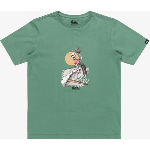 Quiksilver Boys' T-shirt NEVERENDING SURF Cijene