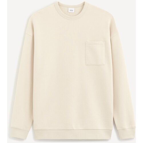 Celio Sweatshirt with Besweatbox - Men Slike