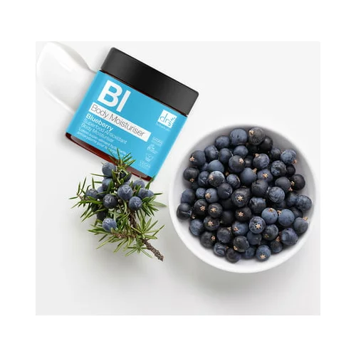 Dr. Botanicals blueberry superfood antioxidant body moisturiser - 60 ml