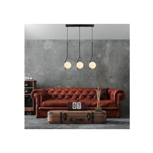 Opviq tulıp 13824 crna visilica Slike
