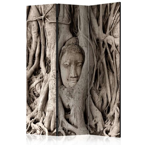  Paravan u 3 dijela - Buddha&amp;#039;s Tree [Room Dividers] 135x172 Slike