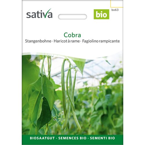 BIO stročji fižol "Cobra" - 20 g Cene