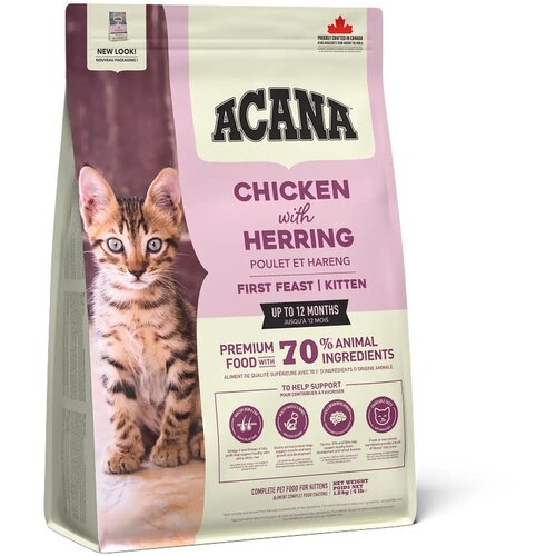 Acana cat first feast 340 g Cene
