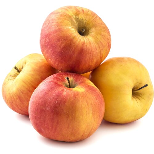 Maxi pijaca Jabuka Ajdared 1kg Cene