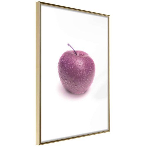  Poster - Forbidden Fruit 40x60 Cijene