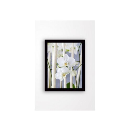 WALLXPERT dekorativna slika SC0173 Slike