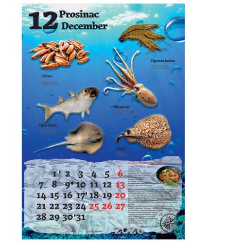  KALENDAR &amp;quot;RIBARNICA 2026&amp;quot; 13 LISTOV, SPIRALA Slike
