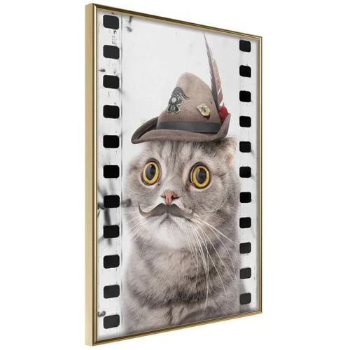  Poster - Dressed Up Cat 40x60