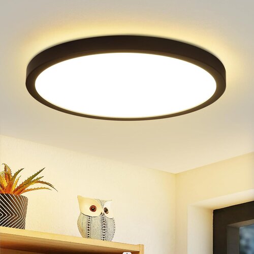 Nettlife LED stropna svetilka, ravna stropna svetilka, spalnica, svetilka Ø22cm, kopalniška svetilka, črna, 15W IP44, (22111347) Cene