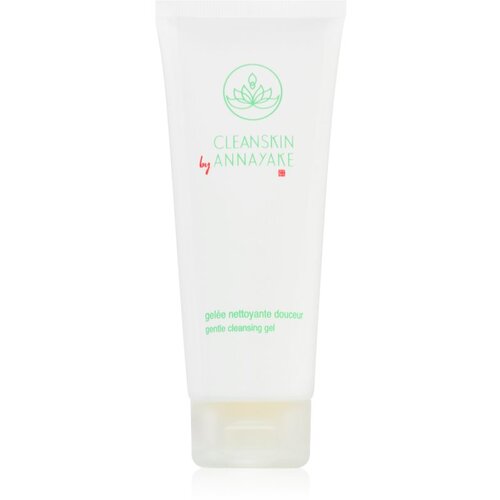 Annayake CleanSkin Gentle Cleansing Gel gel za umivanje obraza za popolno čiščenje obraza 100 ml Cene