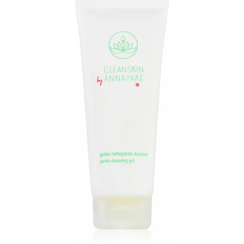 Annayake CleanSkin Gentle Cleansing Gel gel za umivanje obraza za popolno čiščenje obraza 100 ml