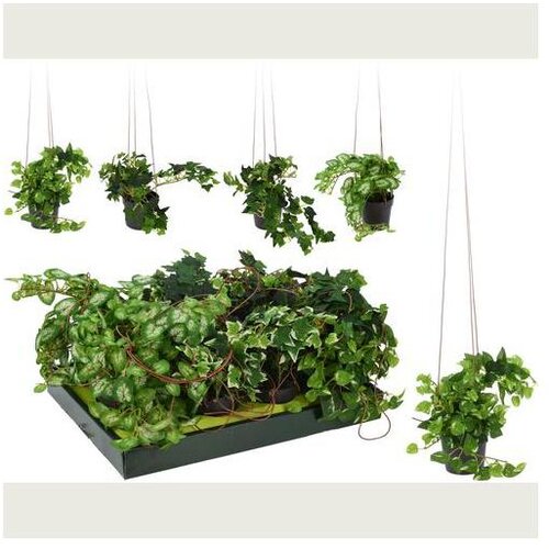  CVIJEĆE 25CM SORTO Slike