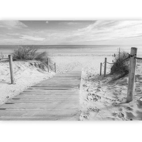  Foto tapeta - On the beach - black and white 100x70 Standard Cijene