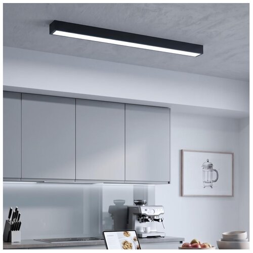  LED plafonska/luster na sajli LED/44W/230V 6000K 120 cm crna Cene