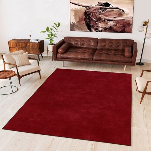 Conceptum Hypnose Tepih Wookece1270, 100 x 150cm, Crveni Cijene