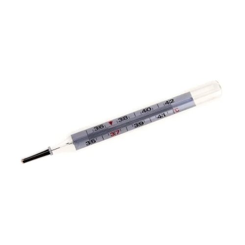 Romed HOLLAND galijev termometer 288MF Cene