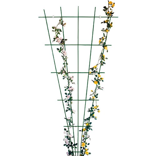 x opora za vrtnice bellissa (150 75 cm, pahljača, zelena) Cene