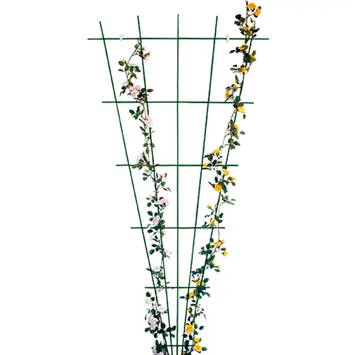 x opora za vrtnice bellissa (150 75 cm, pahljača, zelena)