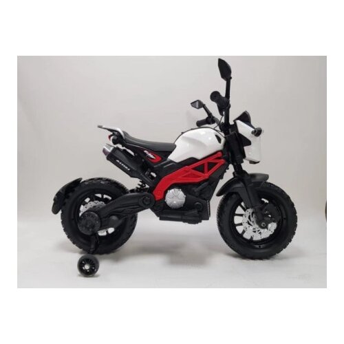 Thema Sport ts 501 crveni Motor ( TS 501 CR ) Cene