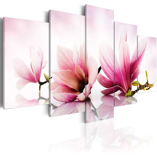  Slika - Magnolias: pink flowers 100x50 Slike