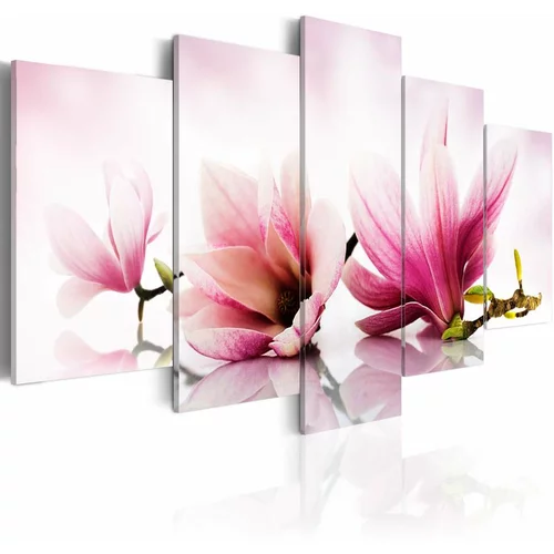  Slika - Magnolias: pink flowers 100x50