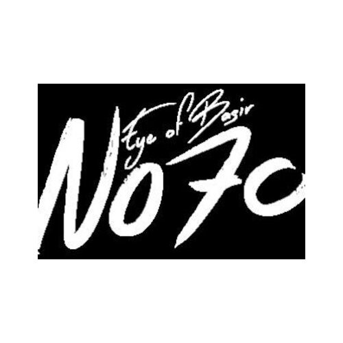  No70: Eye of Basir Steam Key GLOBAL Cene