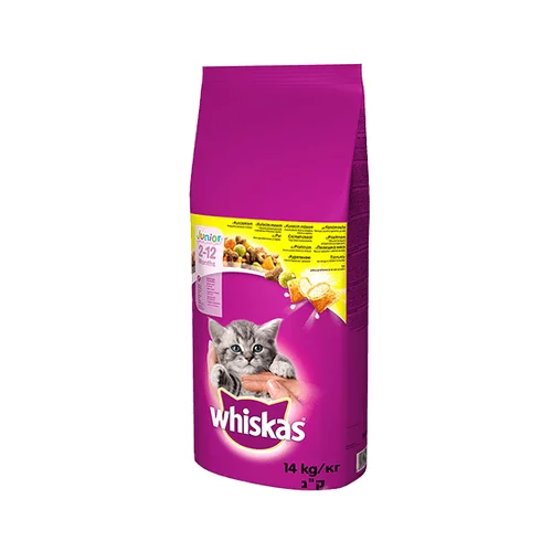 Whiskas 24 kg + 4 kg gratis! hrana za mačke 28 kg - Junior piščanec