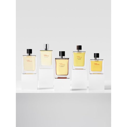 Hermes Terre d&amp;rsquo;parfumska voda intense nadomestno polnilo za mo&amp;scaron;ke 200 ml Slike