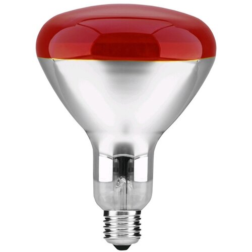 Microcer Sijalica temperaturna 250W infracrvena kvočka Cene