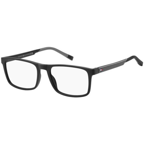 Tommy Hilfiger TH2148 08A - L (55) Cijene